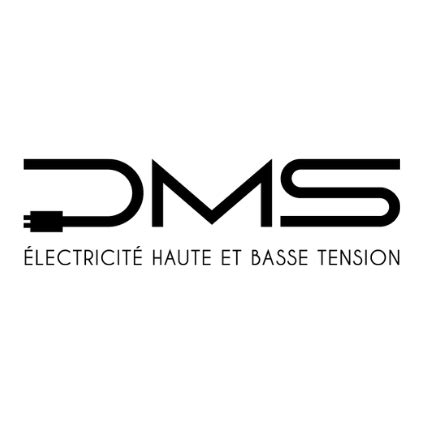 dsm namur|DMS Électricité 